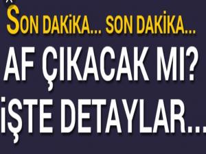 Af yasası çıkacak mı? Canlı yayında açıkladı