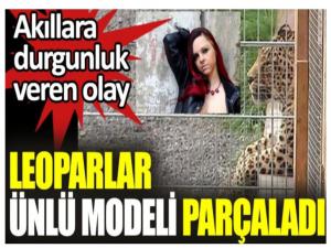 Almanya'da leoparlar ünlü fotomodeli parçaladı