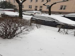 Almanyada Kar Alarmı Evden çıkmayın Uyarısı