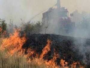 Bulgaristan'da yangınlar nedeniyle 4 kentte acil durum ilan edildi