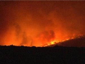 Bulgaristan'ın Türkiye sınırında orman yangını: Çok sayıda ekip bölgede