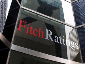 Fitch: Türkiye TL'deki değer kaybına hızla çare bulmalı