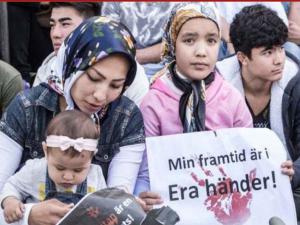İsveçte 12 mülteci çocuk intihar etti