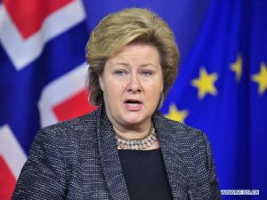 Solberg: Paris'teki saldırı, ifade özgürlüğünü isteyen herkesi etkilemiştir