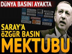 Dünyaca ünlü gazeteciler Türkiye'de basın özgürlüğü için ayağa kalktı