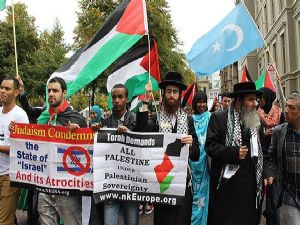 Hollanda'da Gazze'ye destek gösterisi