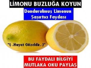 Dondurulmuş limon mucizesi