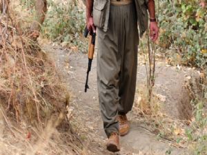 Şırnak'ta 7 PKK'li teslim oldu
