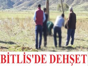 Bitlis'te dehşet!